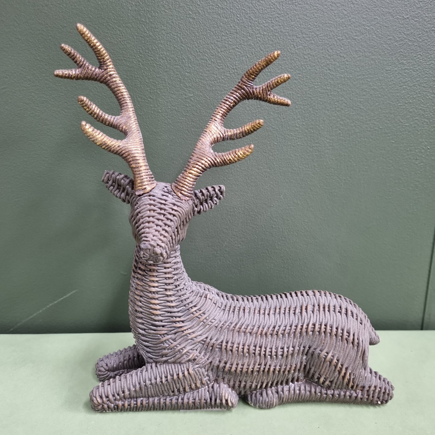 Ratten Look Sitting Deer