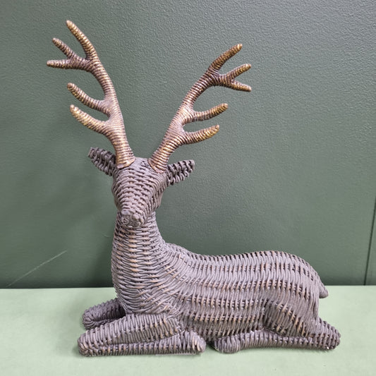 Ratten Look Sitting Deer