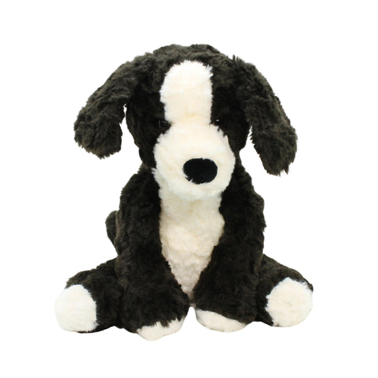 Alex Border Collie