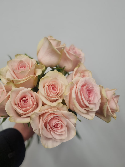 Pink Columbian Roses