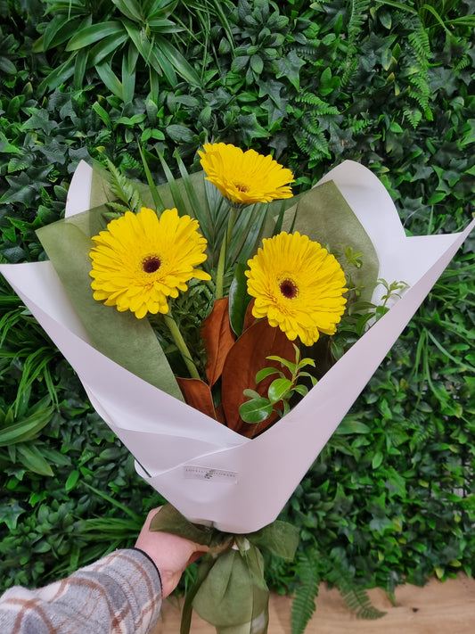 Gerbera