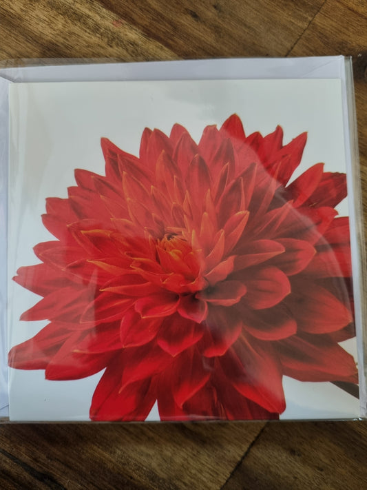 Floral Card